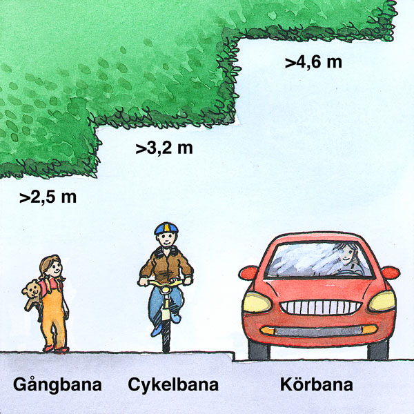 Illustration av minsta höjd för växtlighet som hänger över gång- och körbana.