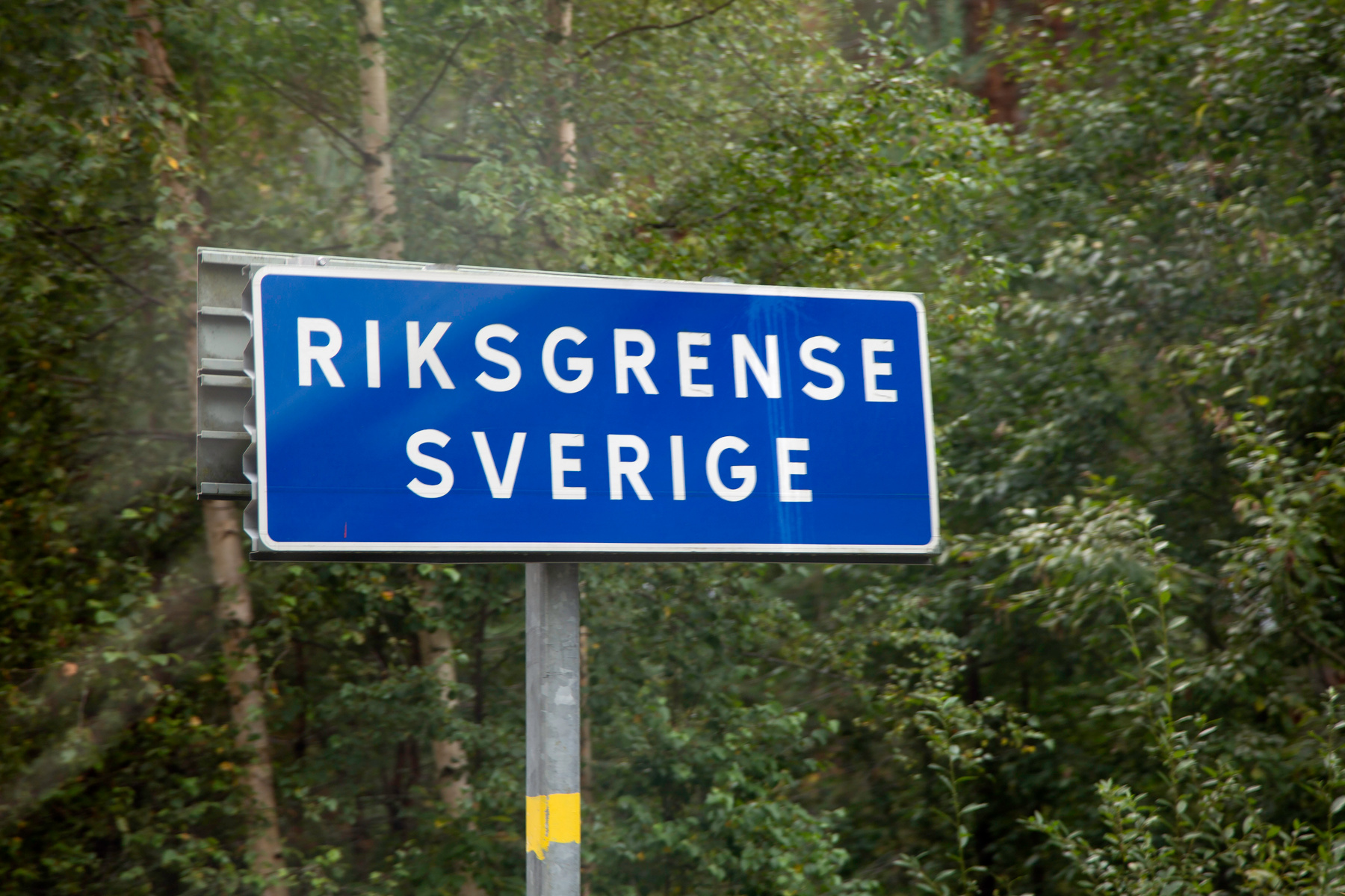 En vägskylt med texten Riksgrense Sverige, med skog i bakgrunden.