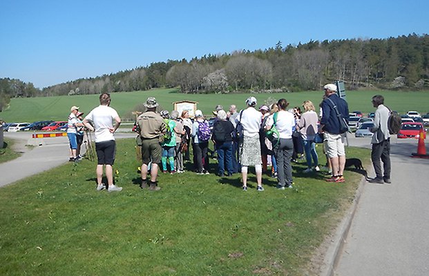 Flera personer står på en gräsmatta och lyssnar på en guide. 